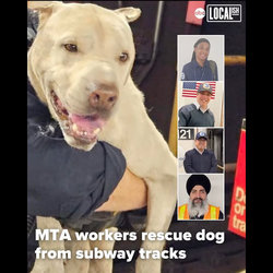 TWU member and TSS to the rescue. Kathy Ann Caesar is at the top.